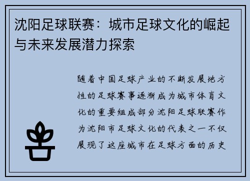 沈阳足球联赛：城市足球文化的崛起与未来发展潜力探索